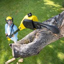 Mulching Services in Shrewsbury, NJ